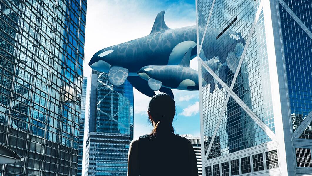 A woman seen from behind watches orca whales in the sky among tall buildings